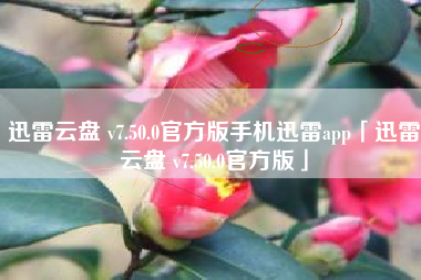 迅雷云盘 v7.50.0官方版手机迅雷app「迅雷云盘 v7.50.0官方版」